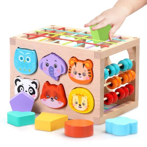 Montessori Toys